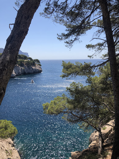 Marseille Calanques Passion - Guide Calanques Marseille Cassis