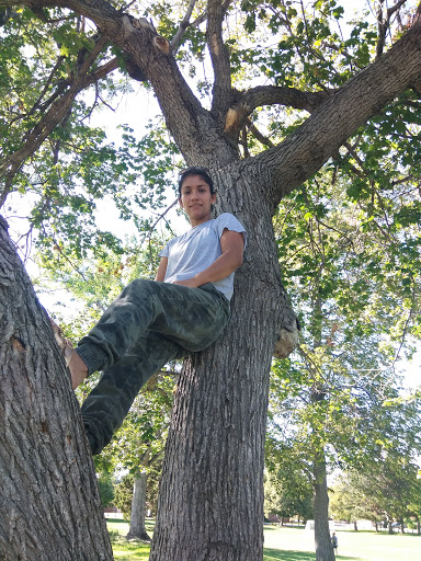 Park «Panorama Park», reviews and photos, W 35th Ave & Fenton St, Wheat Ridge, CO 80033, USA