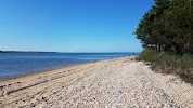 Linda Gronlund Memorial Nature Preserve
