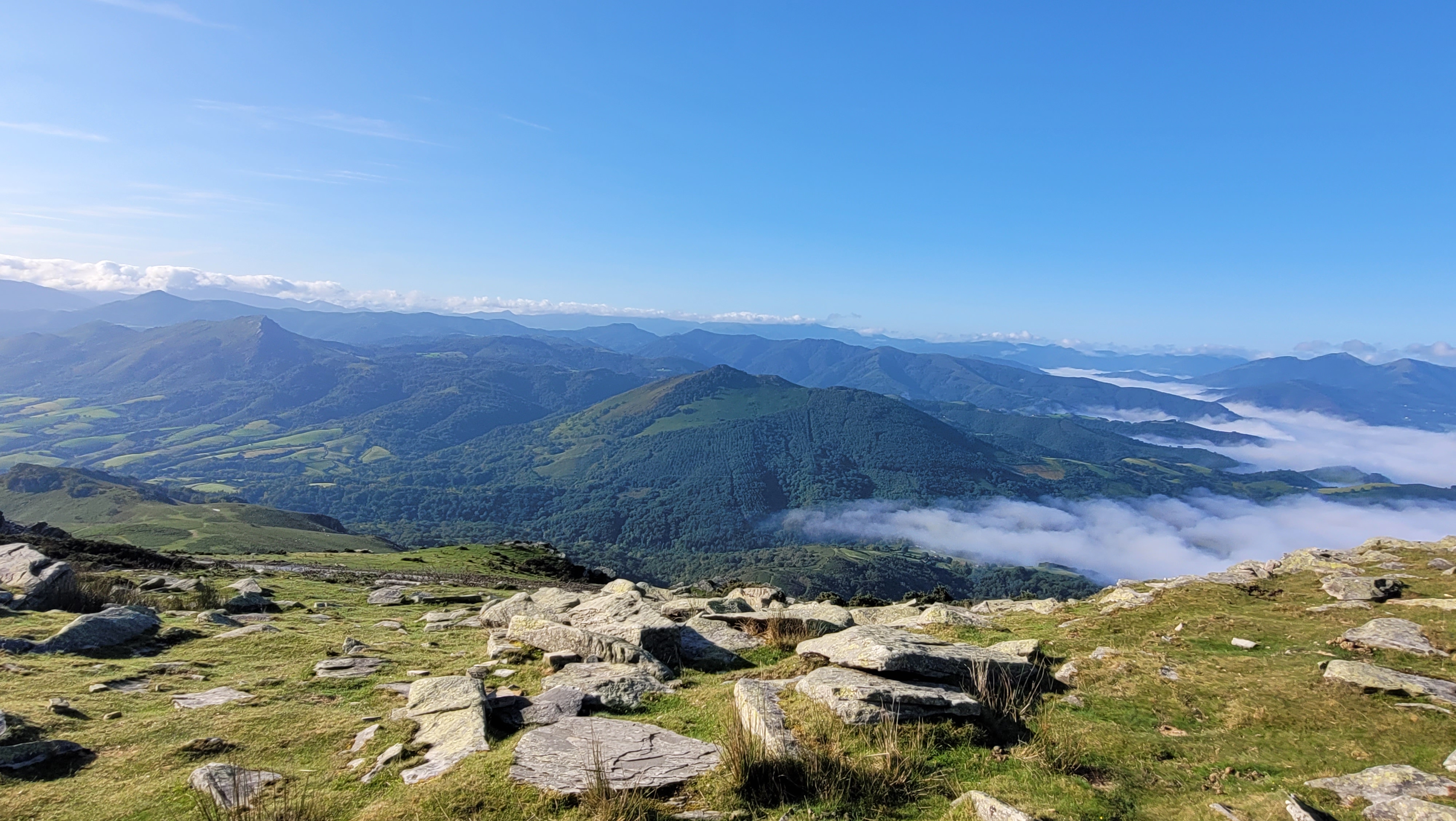 Photo n° 3 de l'avis de Alexa.. fait le 17/08/2023 à 15:09