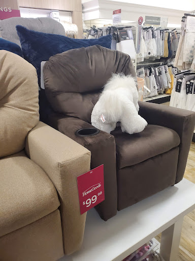 Department Store «HomeGoods», reviews and photos, 1501 Sentinel Dr #300a, Chesapeake, VA 23320, USA