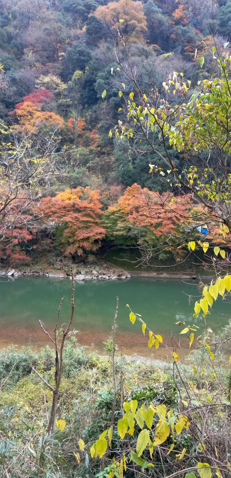 愛岐トンネル群