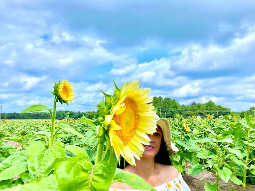 Fruit and Vegetable Store «Henley Farm», reviews and photos, 3513 Charity Neck Rd, Virginia Beach, VA 23456, USA