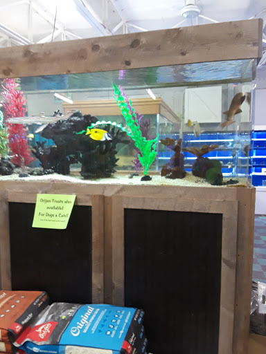 Pet Store «The Pet Zone», reviews and photos, 20 W Oak St, Pittston, PA 18640, USA