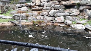 National Zoo - photo 24