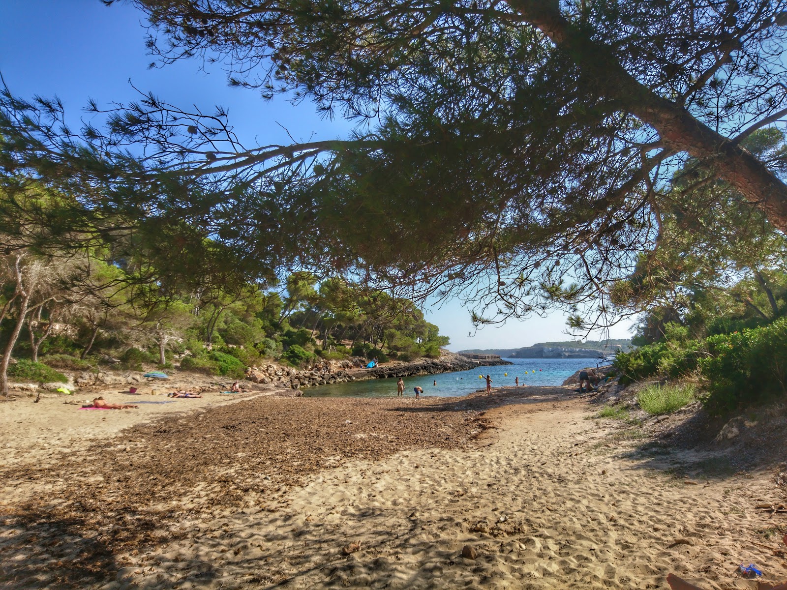 Foto di Cala Barca con una superficie del sabbia luminosa e rocce