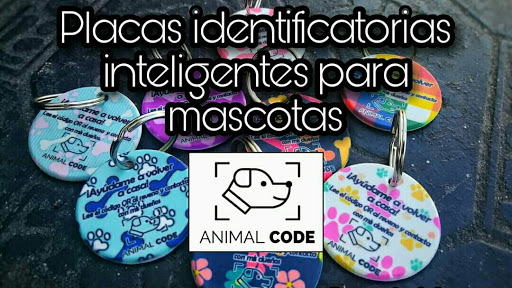 Animal Code