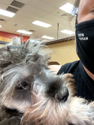 Pet Store «Petland Las Vegas», reviews and photos, 8800 W Charleston Blvd #3, Las Vegas, NV 89145, USA