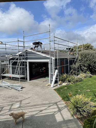 DTM Roofing Ltd NZ - Construction company