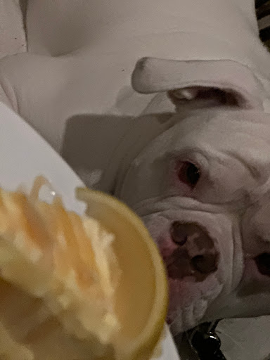 Can’t pass up on desert