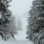 Photo n°4 de l'avis de erika.a fait le 06/01/2024 à 18:45 sur le  Rifugio Fuciade à Fuchiade