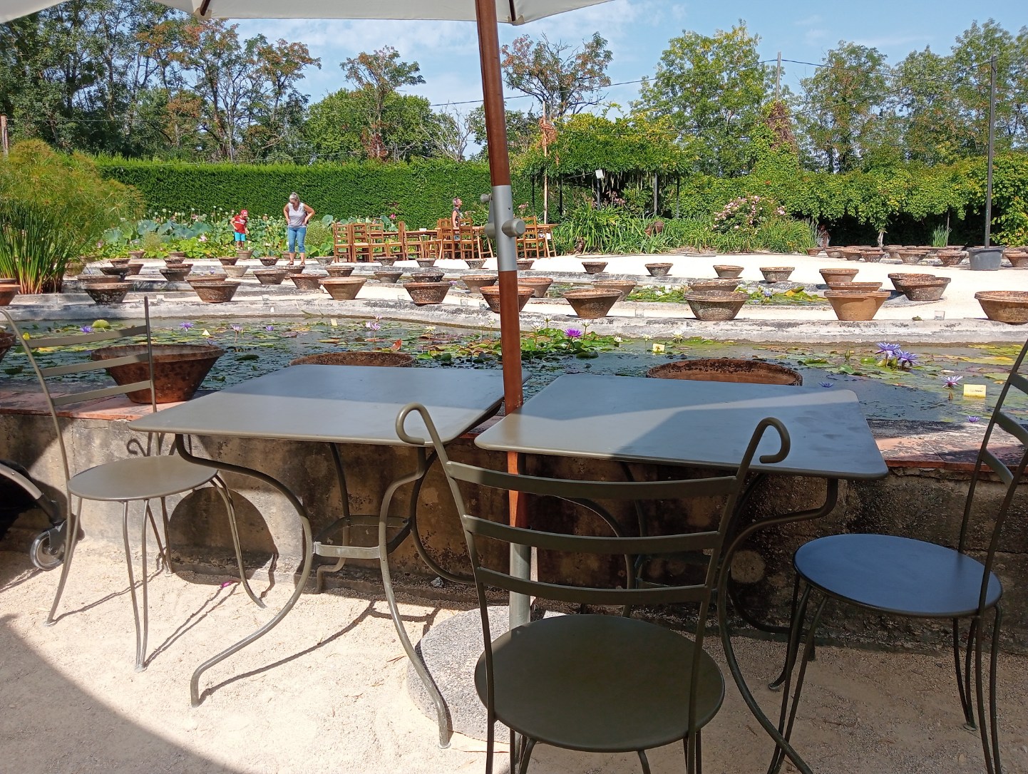 Photo n° 1 de l'avis de Tiphaine.A fait le 16/08/2023 à 18:50