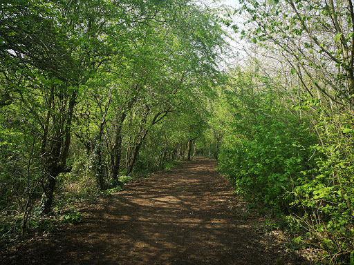 Warmley Forest Park