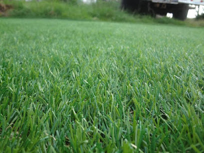 Green Pro Grass