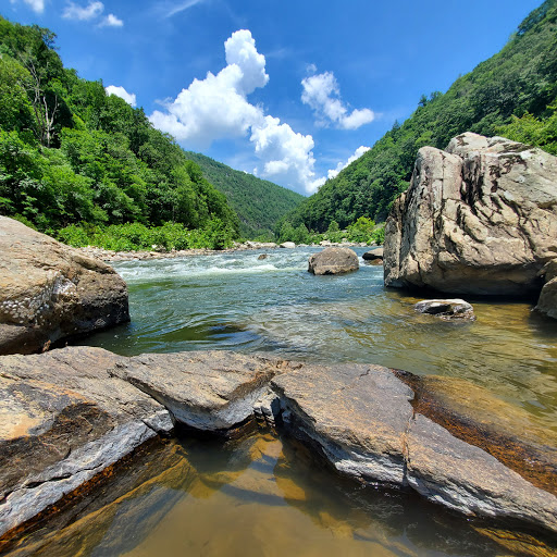 National Forest «Pisgah National Forest», reviews and photos, 1600 Pisgah Highway, Nebo, NC 28761, USA