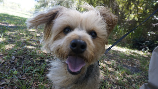 Park «Rolling Oaks Park», reviews and photos, 18701 NW 17th Ct, Miami Gardens, FL 33056, USA