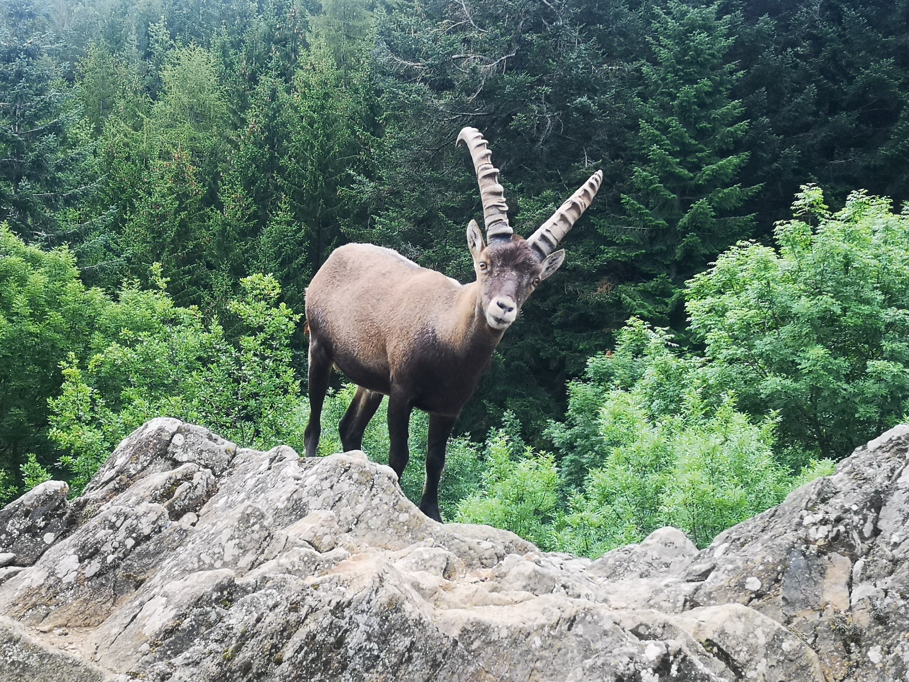 Photo n° 5 de l'avis de Stephanie.a fait le 16/08/2019 à 20:29