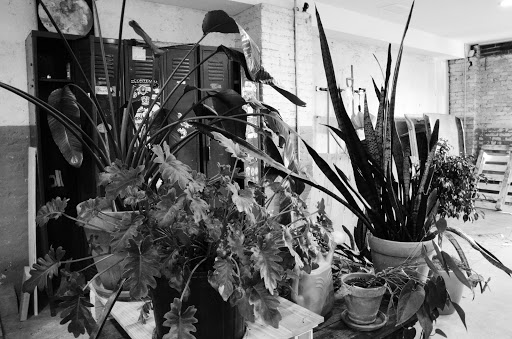 Print Shop «Fireball Printing», reviews and photos, 3237 Amber St, Philadelphia, PA 19134, USA