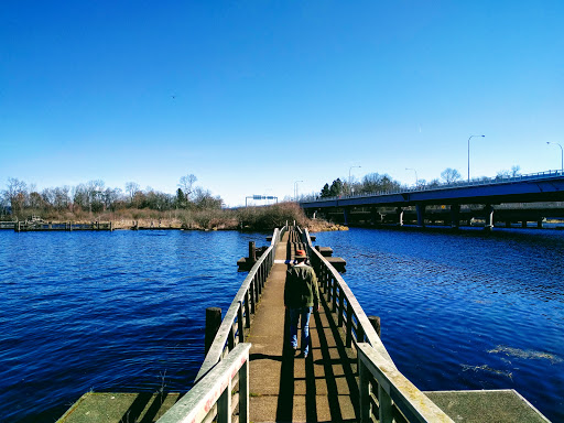 Botanical Garden «Washington Park Arboretum - UW Botanic Gardens», reviews and photos, 2300 Arboretum Dr E, Seattle, WA 98112, USA