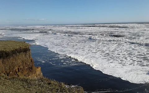 Playa Puaucho image