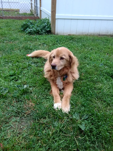 7 River Rd, Plainfield, NH 03781, USA