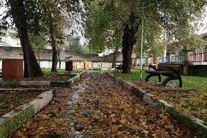 Valiasr Park image