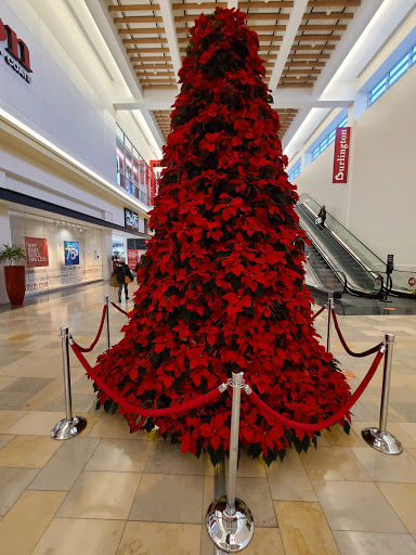 Outlet Mall «The Outlets at Bergen Town Center», reviews and photos, 1 Bergen Town Center, Paramus, NJ 07652, USA