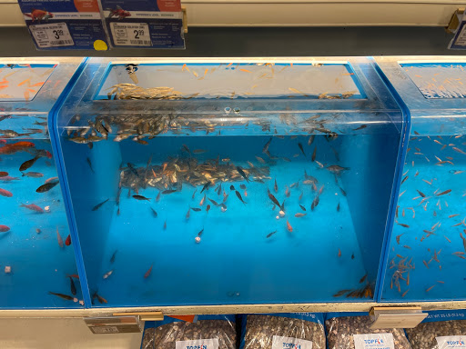 Pet Supply Store «PetSmart», reviews and photos, 976 IL-59, Aurora, IL 60504, USA