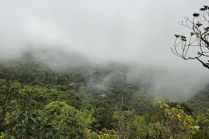 Tadiyandamol Peak Trek image