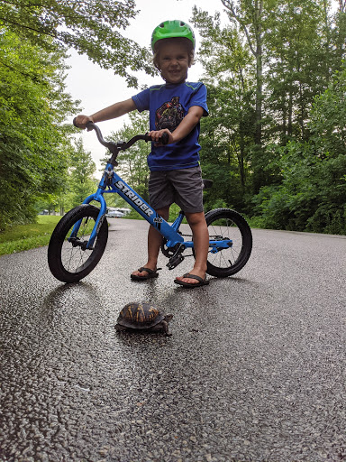 Motorcycle Dealer «Adrenaline Motorsports Toys Inc.», reviews and photos, 253 Charles A Liddle Drive #6, Lawrenceburg, IN 47025, USA