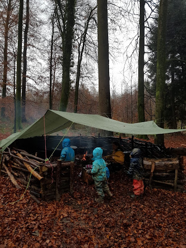 Waldspielgruppe Waldzwerge - Dättwil - Kindergarten