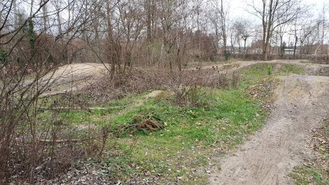 Dirt track Hegenheimermattweg