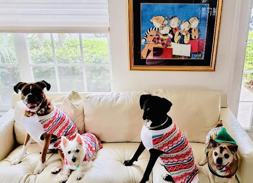 Pet Supply Store «Petco Animal Supplies», reviews and photos, 30697 US Hwy 19 N, Palm Harbor, FL 34684, USA