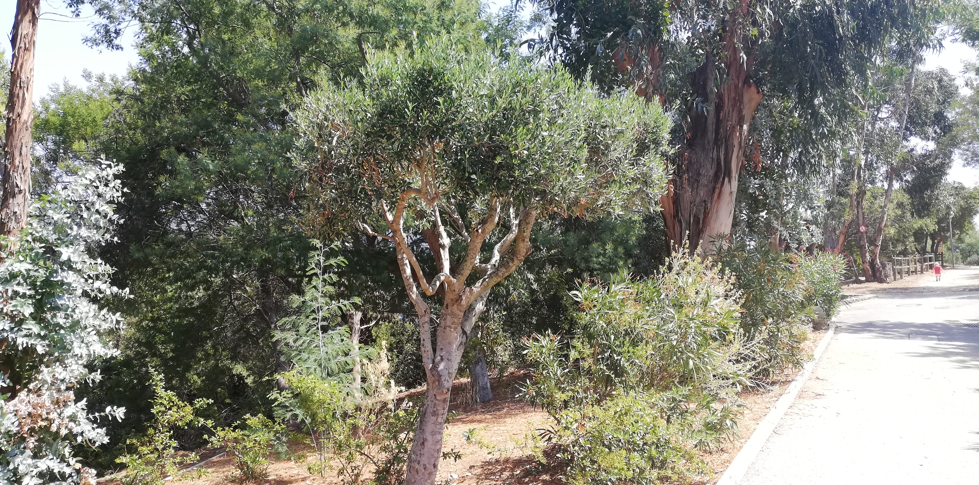 Photo n° 9 de l'avis de manu624000. fait le 05/08/2019 à 12:10
