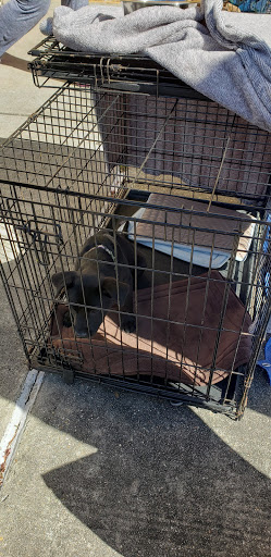 Pet Supply Store «PetSmart», reviews and photos, 45 Park Pl Dr, Covington, LA 70433, USA