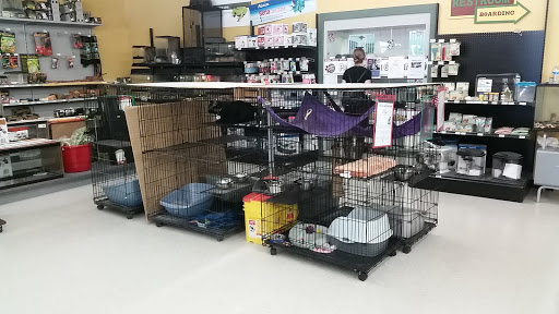 Pet Store «Petland Plano», reviews and photos, 1301 Custer Rd #405, Plano, TX 75075, USA