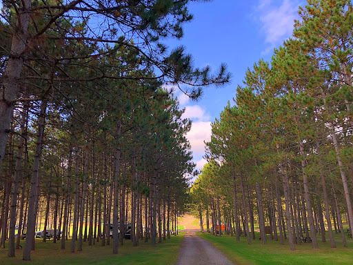 Live Music Venue «Whispering Pines», reviews and photos, 5024 Crescent Ave, Eau Claire, WI 54703, USA