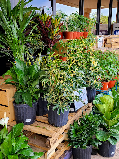 Grocery Store «Fresh Thyme Farmers Market- Naperville», reviews and photos, 790 Royal St George Dr, Naperville, IL 60563, USA