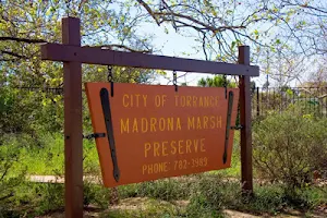 Madrona Marsh Preserve and Nature Center image