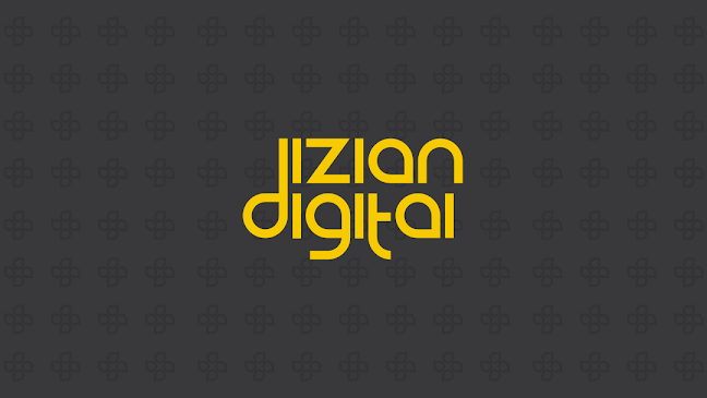 Reviews of Dizian Digital in Riverhead - Advertising agency