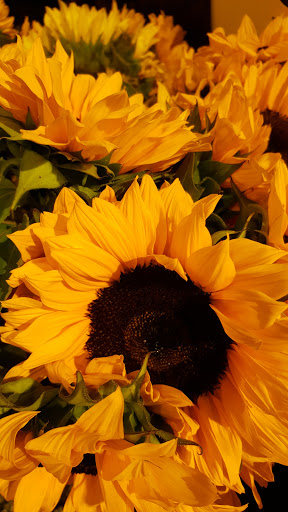 Grocery Store «Kroger», reviews and photos, 4400 Brownsville Rd, Powder Springs, GA 30127, USA