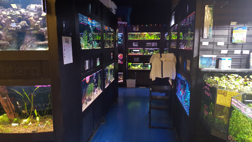 Pet Store «Petland Village of East Side», reviews and photos, 6401 Penn Ave, Pittsburgh, PA 15206, USA