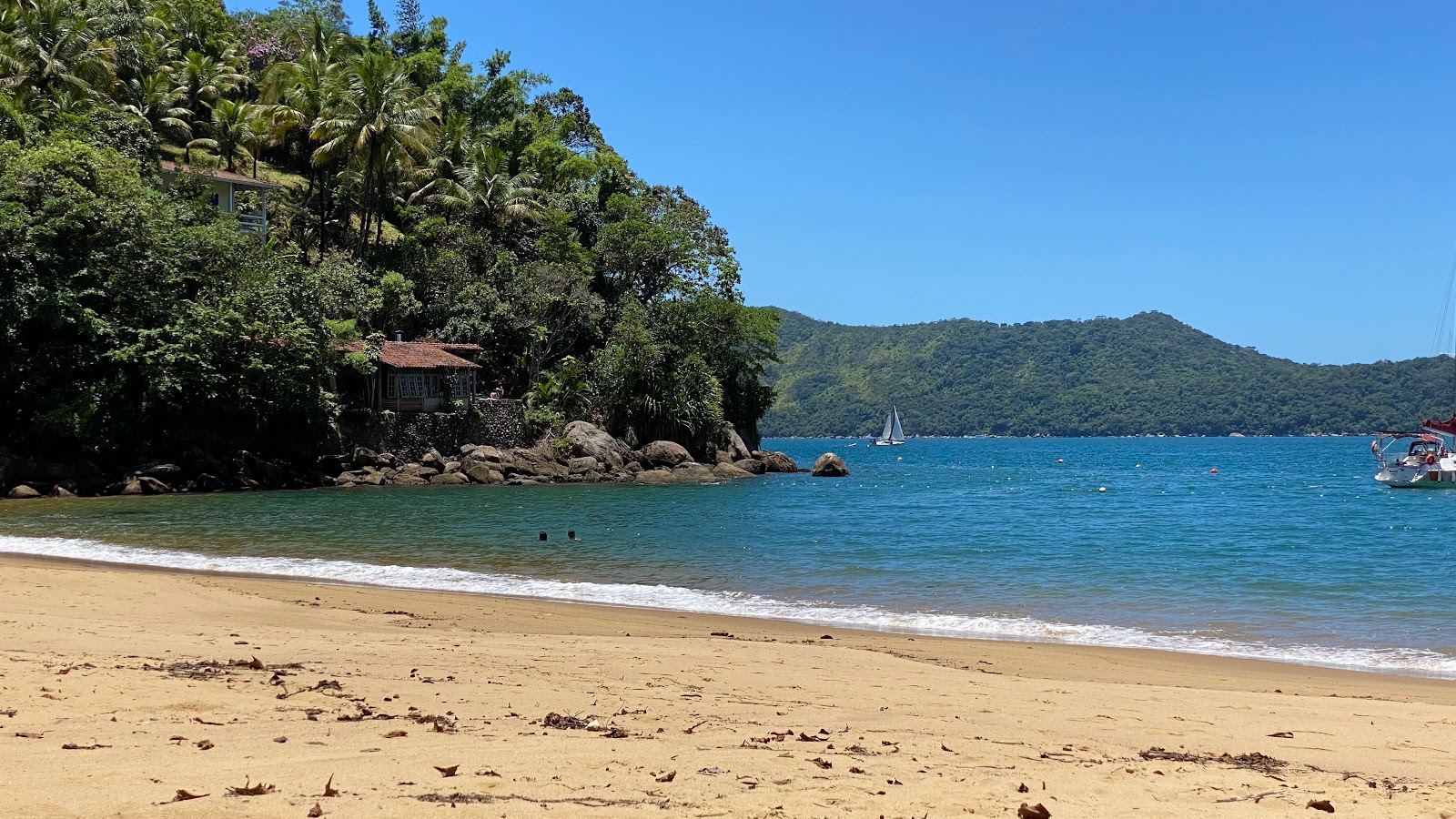 Praia do Flamengo'in fotoğrafı vahşi alan