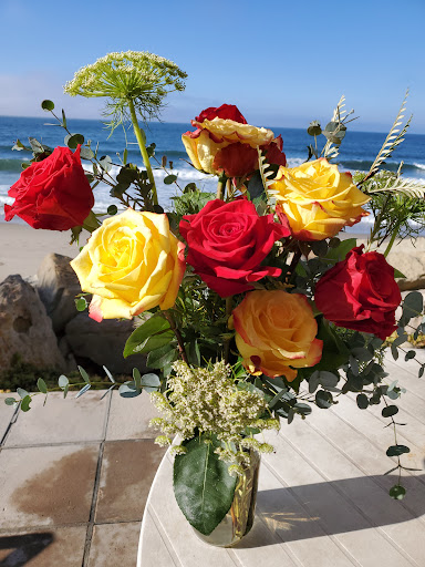 Florist «Point Loma Village Florist», reviews and photos, 3020 Cañon St, San Diego, CA 92106, USA