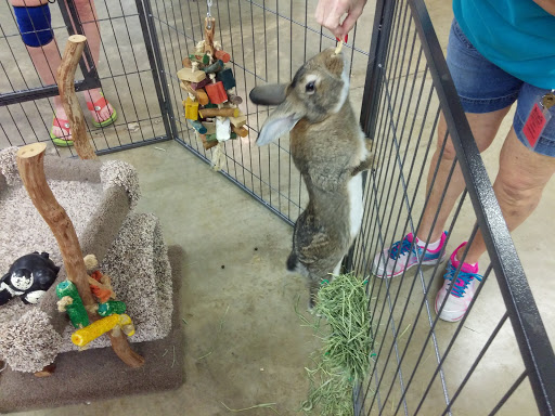 Pet Store «Pet World - Auburndale», reviews and photos, 3637 Havendale Blvd, Auburndale, FL 33823, USA