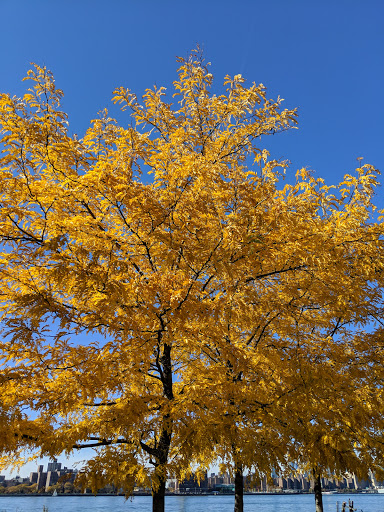 Park «Bushwick Inlet Park», reviews and photos, Kent Ave, Brooklyn, NY 11249, USA