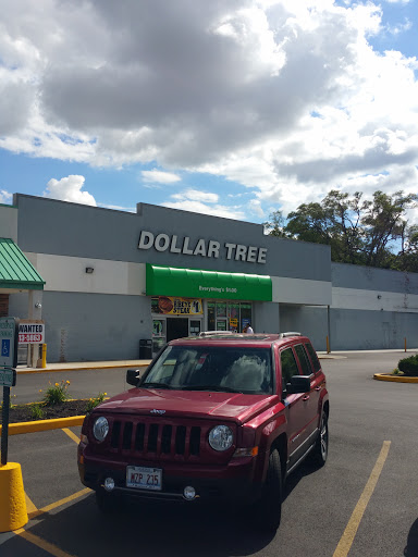 Dollar Store «Dollar Tree», reviews and photos, 1031 E Oakton St, Des Plaines, IL 60018, USA
