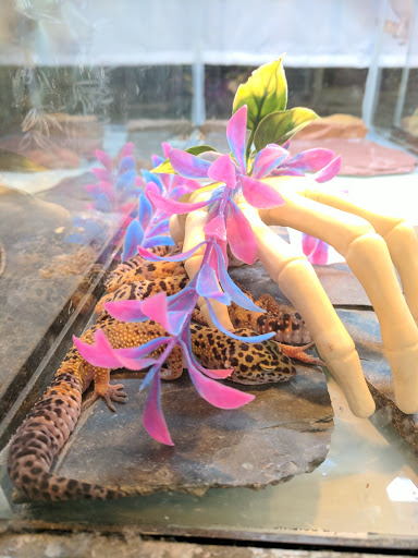 Pet Supply Store «OddBallPetFactory.com», reviews and photos, 8485 Plaza Blvd NE, Spring Lake Park, MN 55432, USA