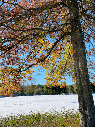 Park «Ghiloni Park», reviews and photos, 239 Concord Rd, Marlborough, MA 01752, USA