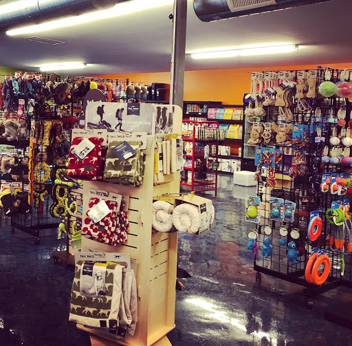 Pet Supply Store «Patton Avenue Pet Company- West», reviews and photos, 1388 Patton Ave, Asheville, NC 28806, USA